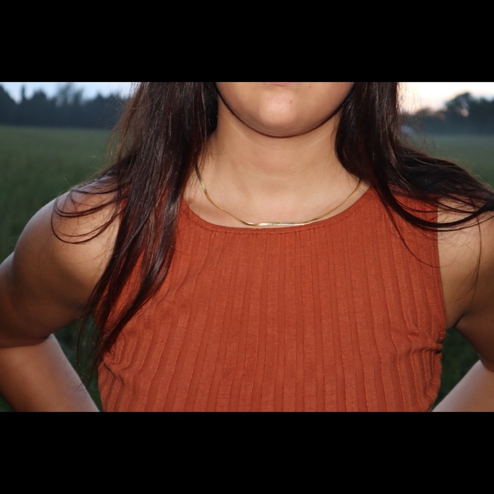 Ribbed Burnt Orange Cropped Top